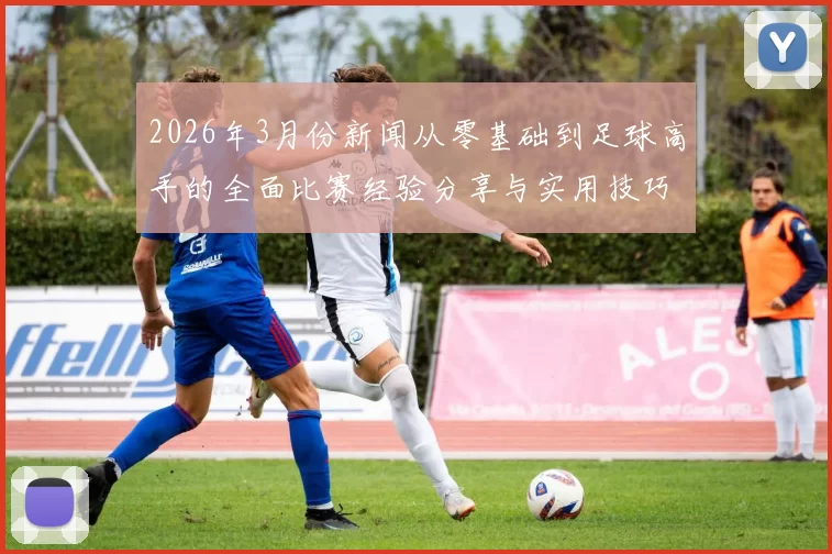 2026年3月份新闻从零基础到足球高手的全面比赛经验分享与实用技巧指南